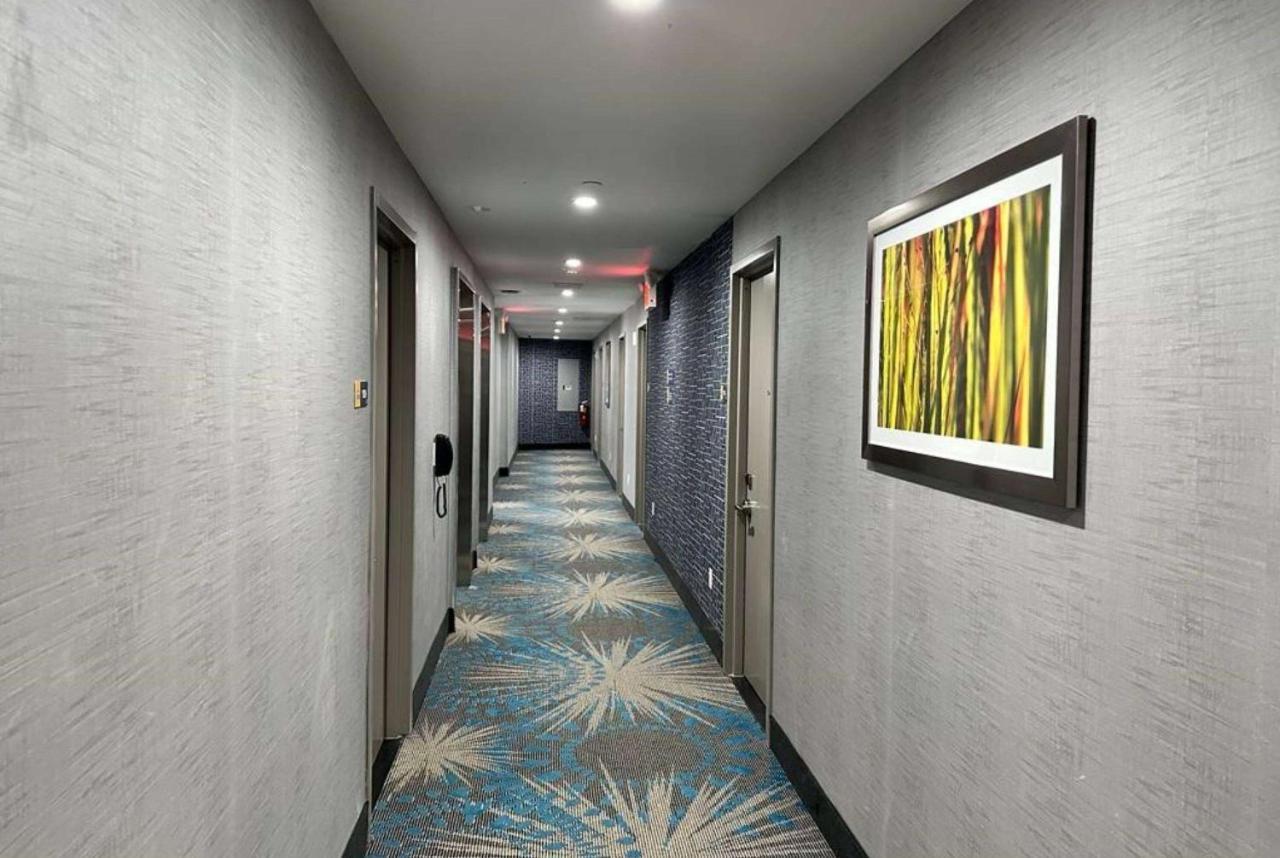 Days Inn By Wyndham Brooklyn Eastern Parkway New York Eksteriør billede